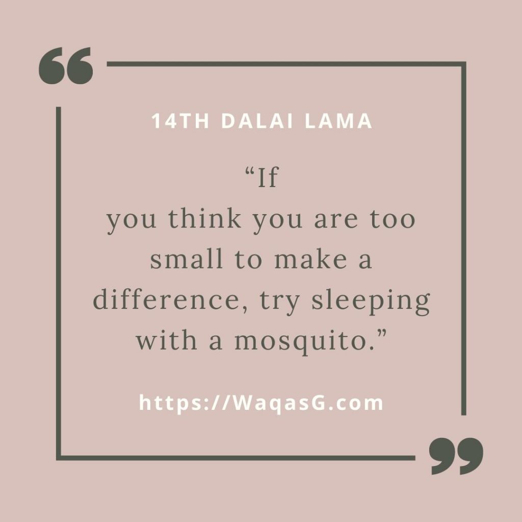 If you think you are too small to make a difference, try sleeping with a mosquito.