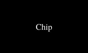 Chip