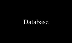 Database