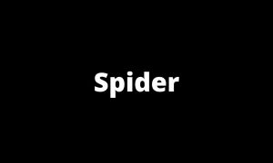 Spider