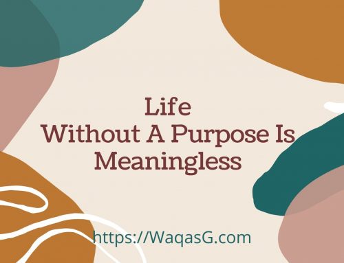 Life Without a Purpose is Meaningless